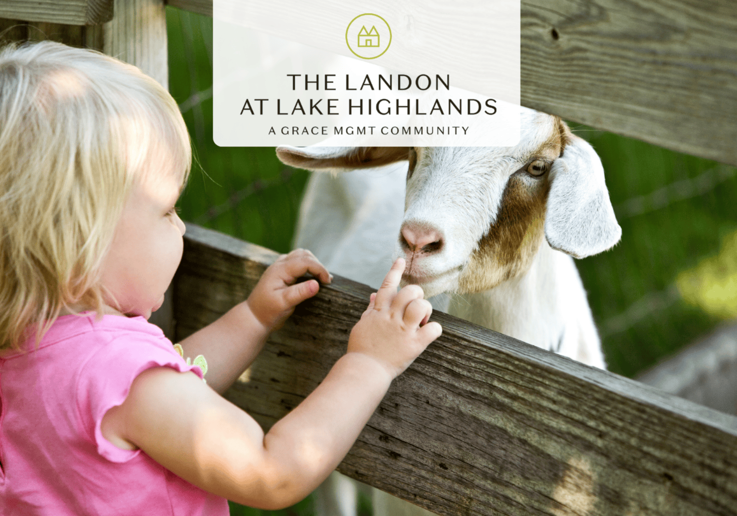 Landon- annual fall festival - The Landon at Lake Highlands