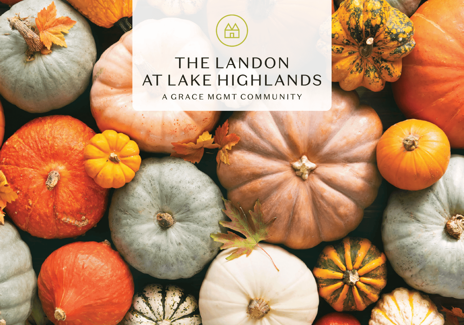 The Landon -Oktoberfest - The Landon at Lake Highlands